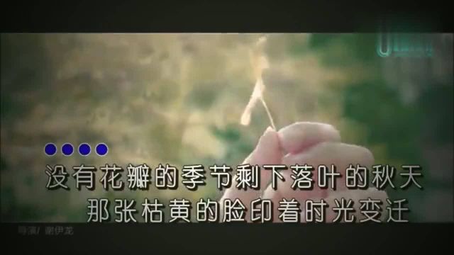 刘增瞳《多想留在你身边》KTV 歌词版