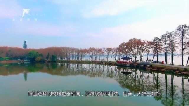 东湖绿道建设纪录片