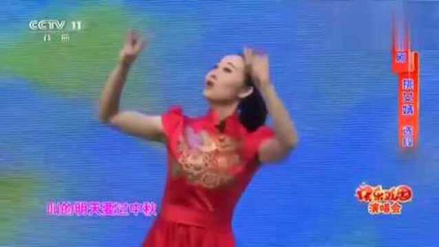 扬剧:江苏省仪征市扬剧团孙岚表演扬剧《挑女婿》选段,好听!