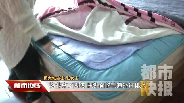 供暖期过半暖气仍冰冷 热力公司:可调试水网再看