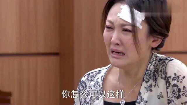 嘉佑法庭上因盗窃被收押,敏君说出嘉佑的身世,总裁和嘉佑懵了