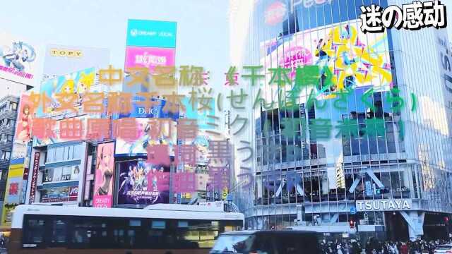 初音未来神曲降临,一首《千本樱》刷新了不少网友的世界观!