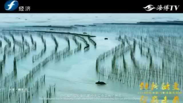 山海画境,行摄霞浦