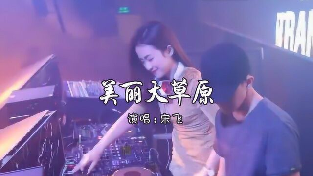 一首DJ《美丽大草原》情歌唱不完,超好听!