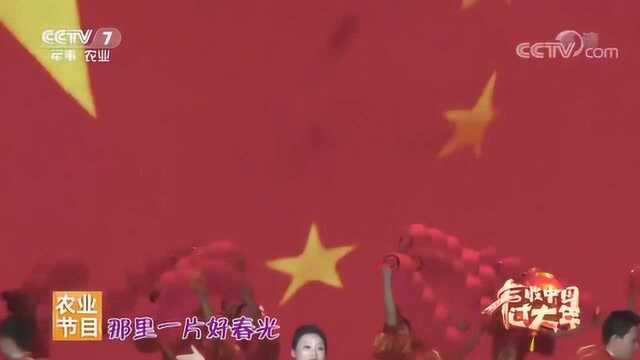 美丽乡村中国行:徐桂花演唱《中国强咚呛》, 天地广中国情