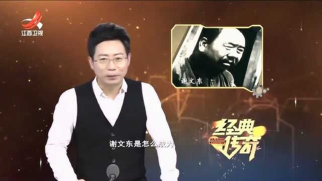 谢文东传奇色彩的的一生,从一个老实的农民,是如何变成土匪的?