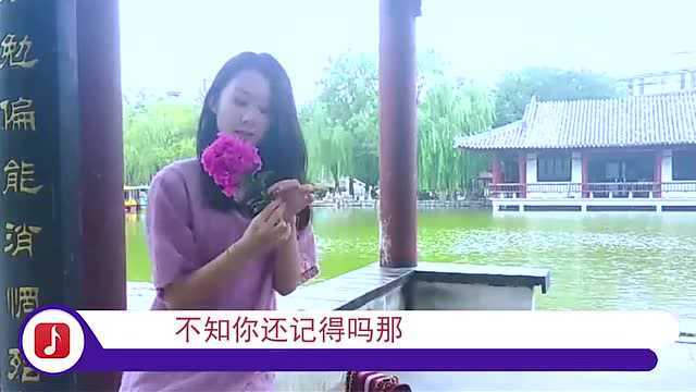 情深意浓!一首经典名曲《拜托小姐》,充满深情