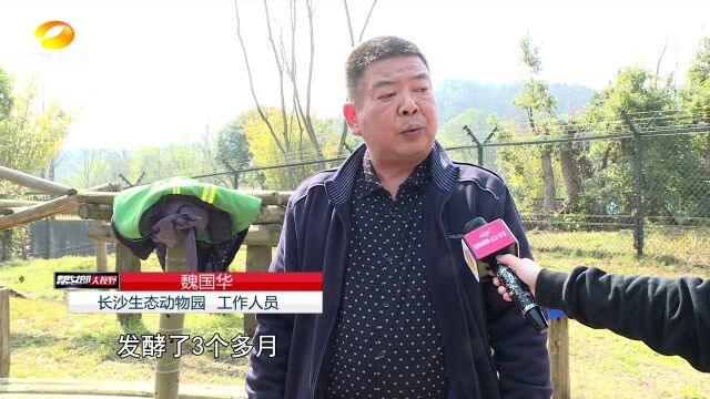 长沙生态动物园里“植树造林”