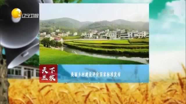 美丽乡村建设评价国家标准发布