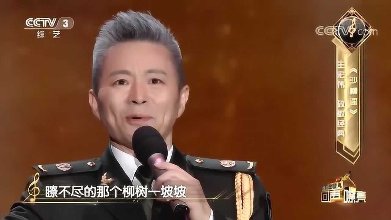 歌唱家王宏伟致敬经典沙柳谣完美高音令人陶醉