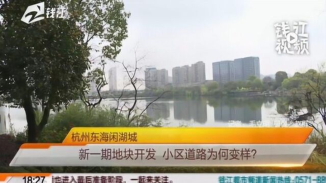 杭州东海闲湖城:新一期地块开发 为何要挡住在闲林湖上游玩的路