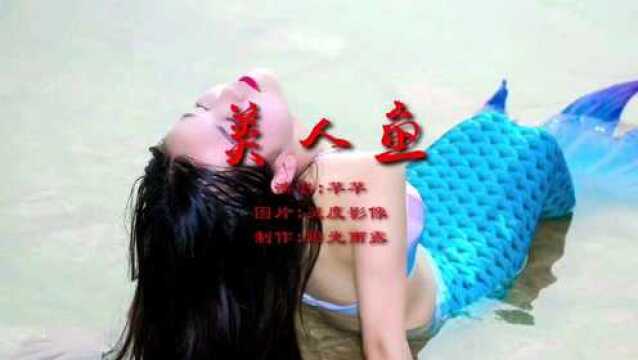 美人鱼MV(演唱 芊芊)