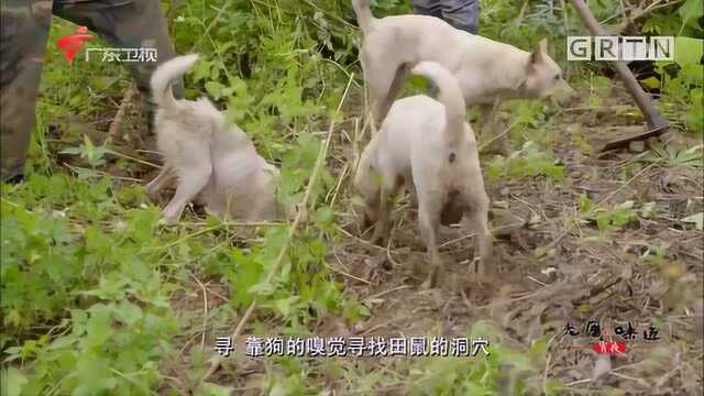 珠海有种美食被喻为“土得掉渣”却是人间美味,外地人没人敢吃!