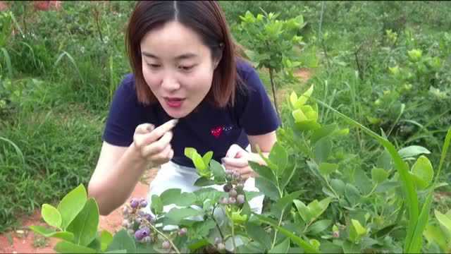 长三角广电旅游联盟举办“杭州富阳美丽乡村”采风活动