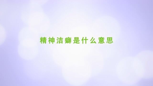 精神洁癖是什么意思呢?