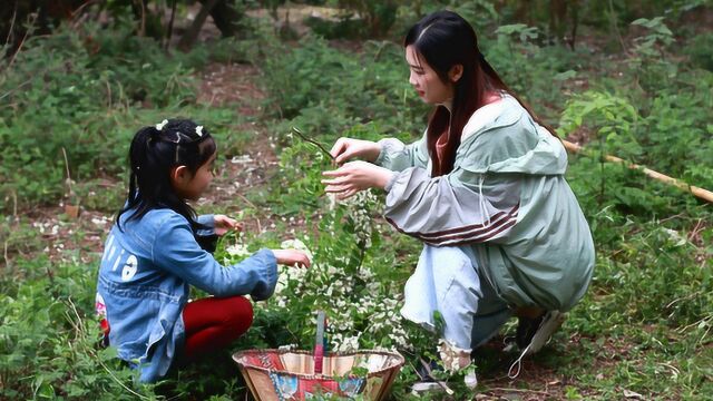 记忆中的槐花香