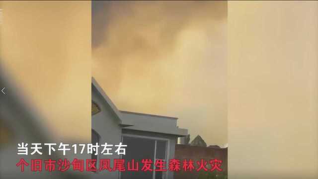 现场:云南沙甸突发山火 消防员连夜扑救