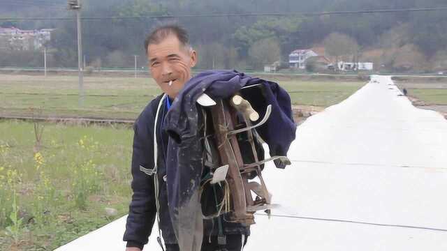 在城里你们车水马龙灯红酒绿,在农村我们阡陌交错燕雀成群