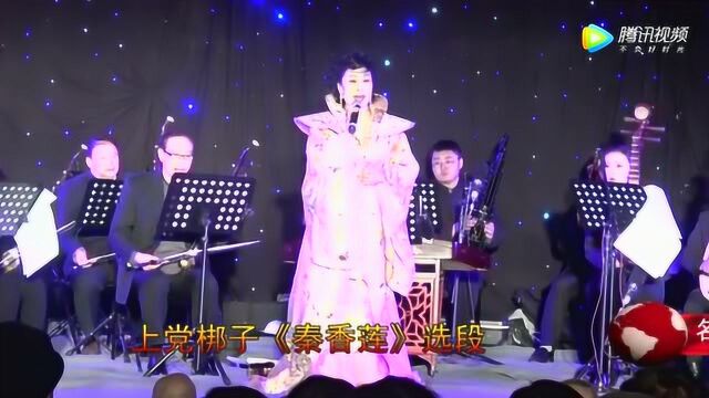 上党梆子宋晋梅《两地家书》表演真切动人