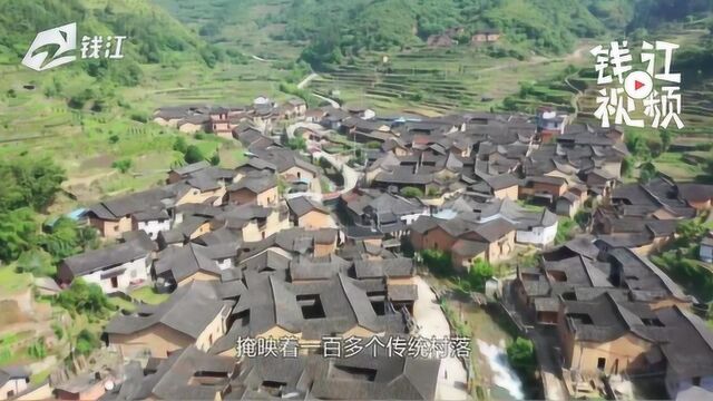 留住乡愁的松阳 把乡愁“物化”的老屋