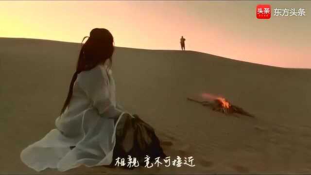 一生所爱 ,《西游记之仙履奇缘》主题曲