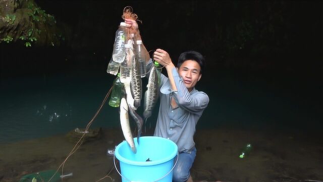 小莫这个钓鱼工具确实牛,往山洞里一扔河鱼自动上钩,这次赚钱了