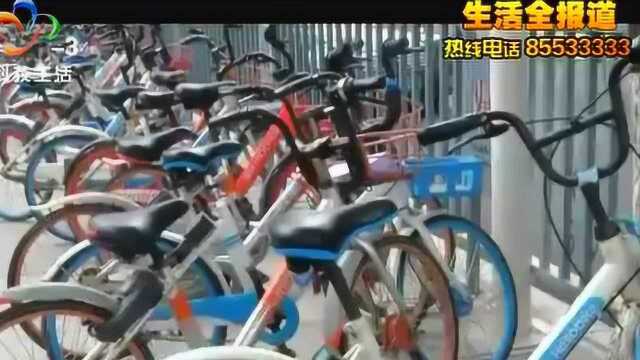 街头采访:哈啰单车加收调度费,市民表示不合理