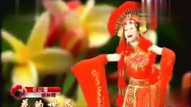 歌曲《花山谣》演唱:姚林辉