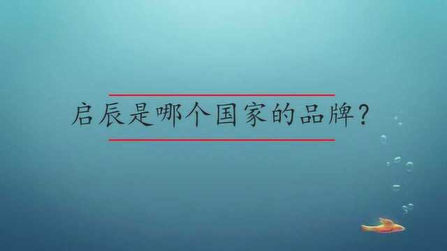 启辰是哪个国家的品牌?