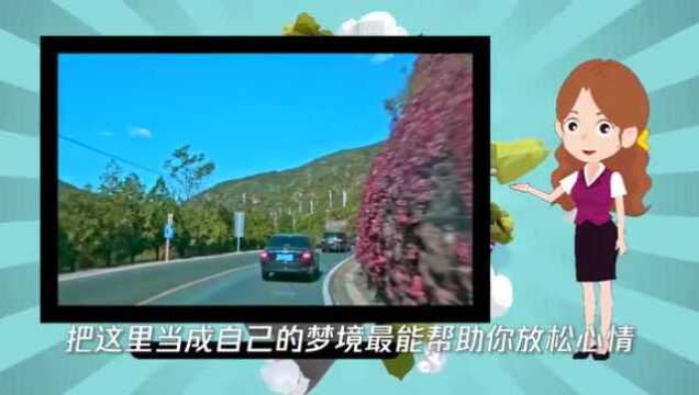 北京有什么好玩的地方吗