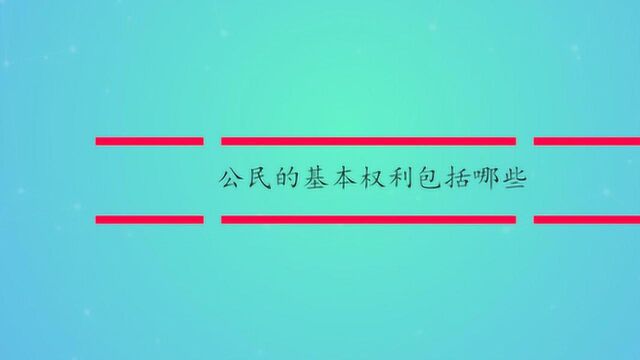 公民的基本权利包括哪些