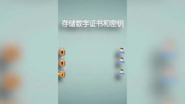 为什么要使用数字证书