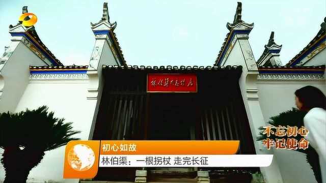 初心如故 林伯渠:一根拐杖 走完长征