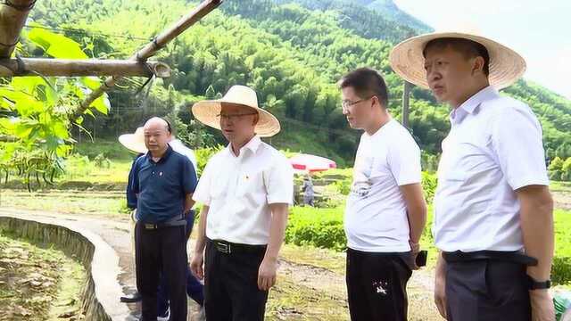 东莞市民政局与铁龙林场龙化工区签订五个《脱贫攻坚帮扶项目》