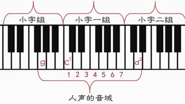 自学乐理课堂!1=C是哪个C?学习简谱+调号+音域+中央C