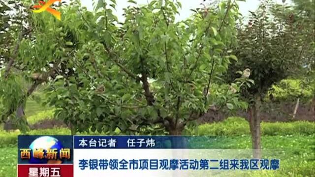 李银带领全市项目观摩活动第二组来我区观摩