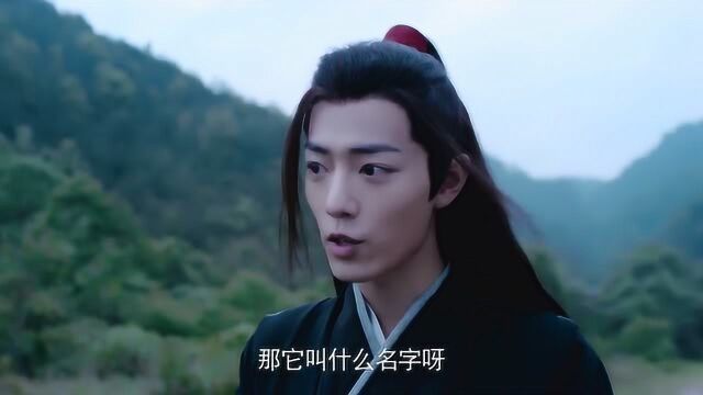 陈情令:含光君彻底堕落了,竟给魏无羡当牵驴的,这是啥神仙待遇