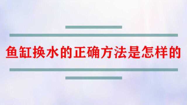 鱼缸换水的正确方法是怎样的?