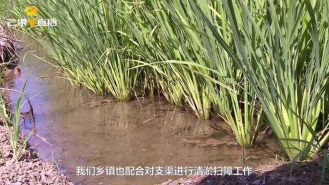 为保灌溉保生产,湘潭韶山灌区推出新点子,工作效率大大提高