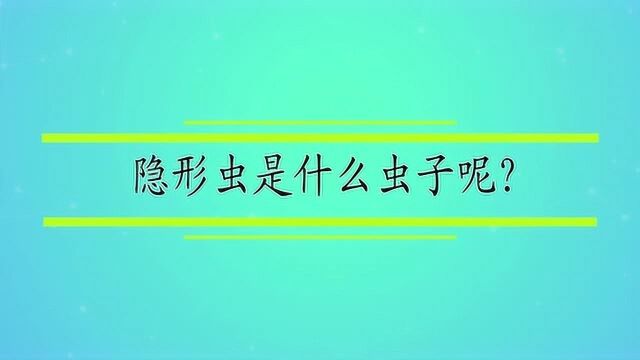 隐形虫是什么虫子呢?