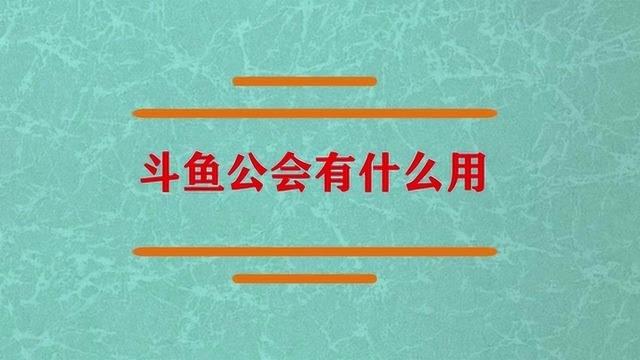 斗鱼平台的公会有什么用