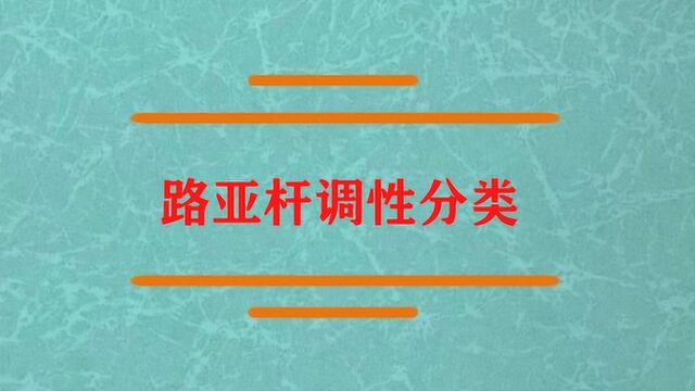 路亚杆调性分类是怎么样的分法?