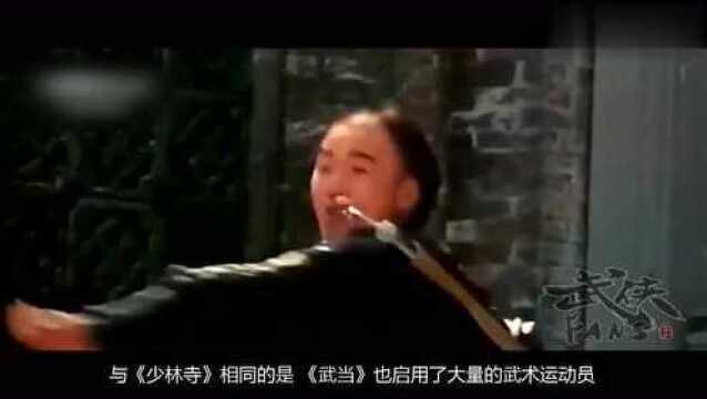 1983年上映,第一部国产古装武侠片,跟风《少林寺》却票房惨败