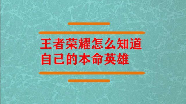 王者荣耀怎么知道自己本命英雄?