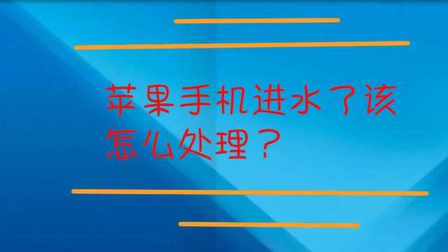 苹果手机进水了该怎么处理?