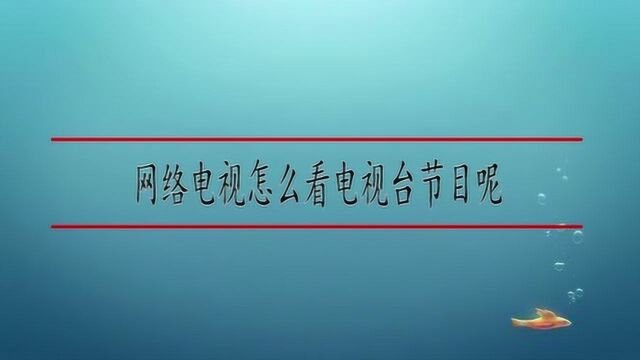 网络电视怎么看电视台节目呢