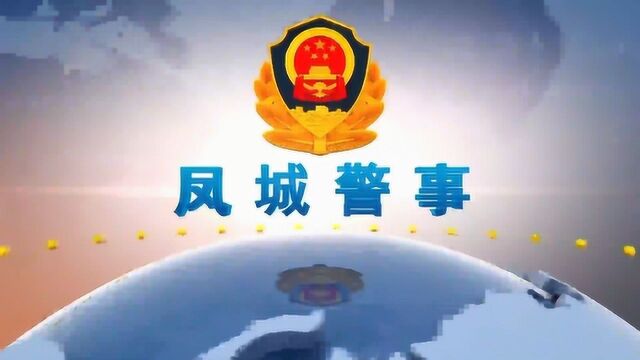 【凤城警事】涉恶团伙覆灭记VA0