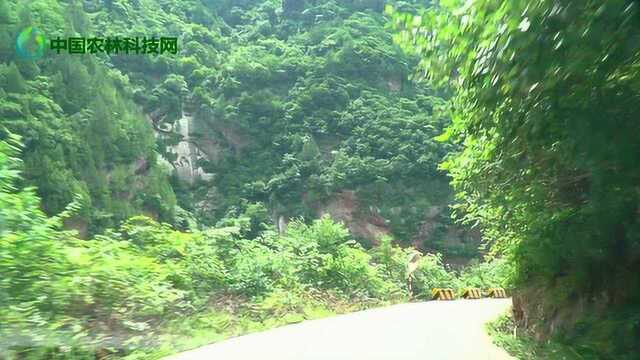 凤县灵官峡到两当东坡村,鬼斧神工的景色和巧夺天工的道路