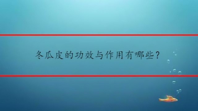 冬瓜皮的功效与作用有哪些?