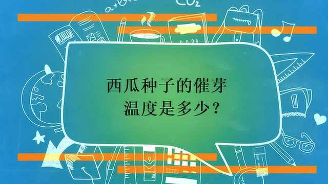 西瓜种子的催芽温度是多少?